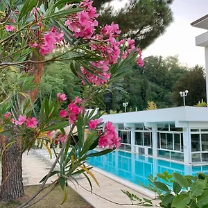 book here